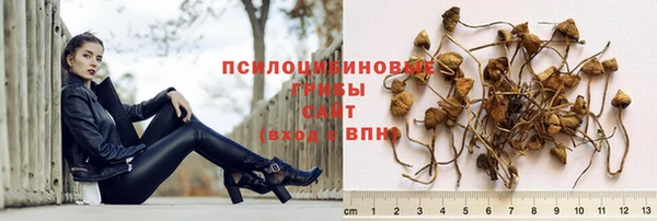 соль ск Арсеньев