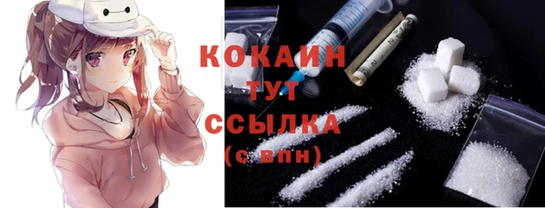 соль ск Арсеньев