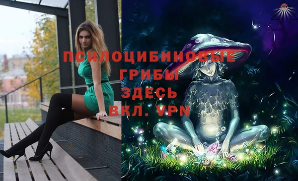соль ск Арсеньев