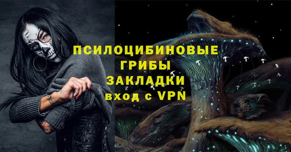 соль ск Арсеньев